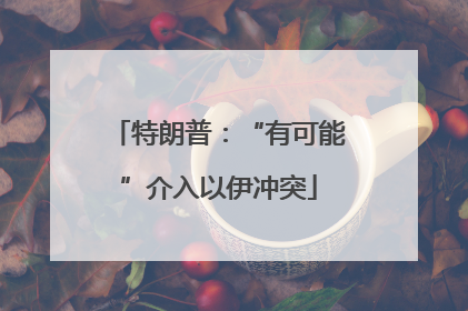 特朗普：“有可能”介入以伊冲突