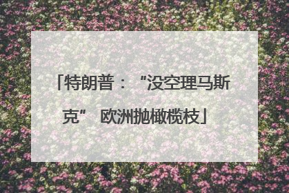 特朗普：“没空理马斯克” 欧洲抛橄榄枝