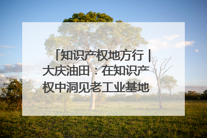 知识产权地方行｜大庆油田：在知识产权中洞见老工业基地的 “创新密码”