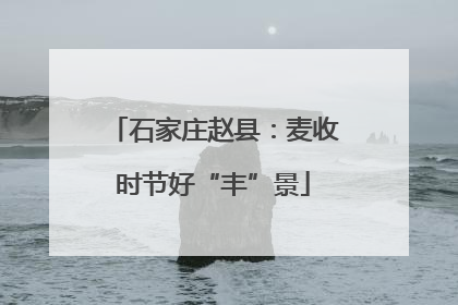 石家庄赵县：麦收时节好“丰”景