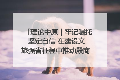 理论中原｜牢记嘱托 坚定自信 在建设文旅强省征程中推动殷商文化传承创新
