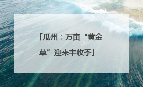 瓜州：万亩“黄金草”迎来丰收季