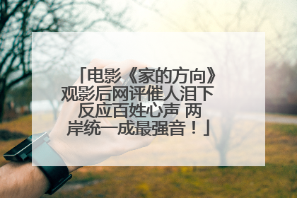 电影《家的方向》观影后网评催人泪下 反应百姓心声 两岸统一成最强音！