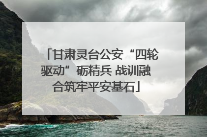 甘肃灵台公安“四轮驱动”砺精兵 战训融合筑牢平安基石