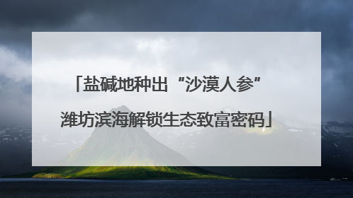 盐碱地种出“沙漠人参” 潍坊滨海解锁生态致富密码