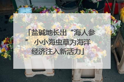 盐碱地长出“海人参” 小小海虫草为海洋经济注入新活力