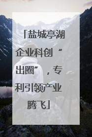 盐城亭湖企业科创“出圈”，专利引领产业腾飞