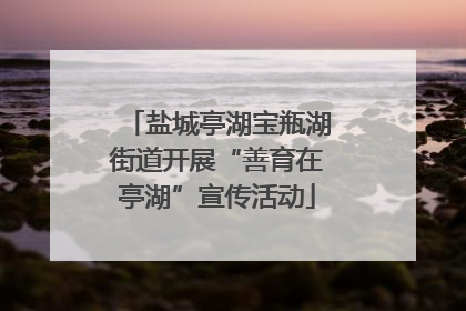 盐城亭湖宝瓶湖街道开展“善育在亭湖”宣传活动
