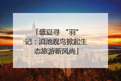 盛夏寻 “羽” 记：滇池观鸟掀起生态旅游新风尚