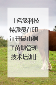 省级科技特派员在印江开展山桐子苗期管理技术培训