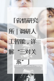 省情研究所｜调研人工智能，详解“三对关系”