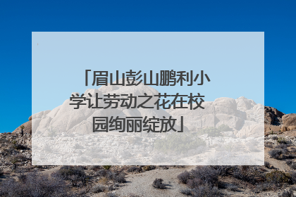 眉山彭山鹏利小学让劳动之花在校园绚丽绽放