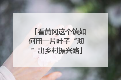 看黄冈这个镇如何用一片叶子“沏”出乡村振兴路