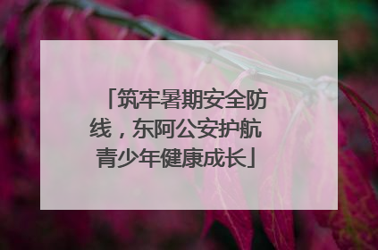 筑牢暑期安全防线，东阿公安护航青少年健康成长