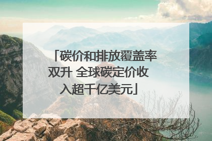 碳价和排放覆盖率双升 全球碳定价收入超千亿美元