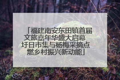 福建南安东田镇首届文旅嘉年华盛大启幕 圩日市集与杨梅采摘点燃乡村振兴新动能