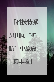 科技特派员田间“护航”中原夏粮丰收