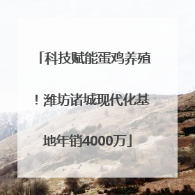 科技赋能蛋鸡养殖！潍坊诸城现代化基地年销4000万