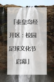 秦皇岛经开区：校园足球文化节启幕