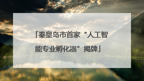 秦皇岛市首家“人工智能专业孵化器”揭牌