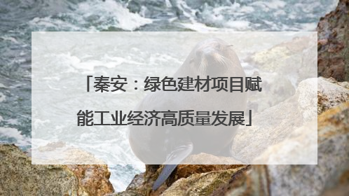 秦安：绿色建材项目赋能工业经济高质量发展