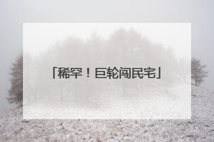 稀罕！巨轮闯民宅