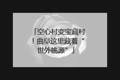 空心村变宝藏村！曲阜这里藏着“世外桃源”