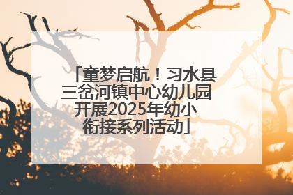 童梦启航！习水县三岔河镇中心幼儿园开展2025年幼小衔接系列活动