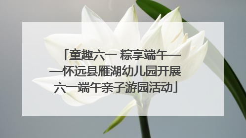 童趣六一 粽享端午——怀远县雁湖幼儿园开展六一端午亲子游园活动