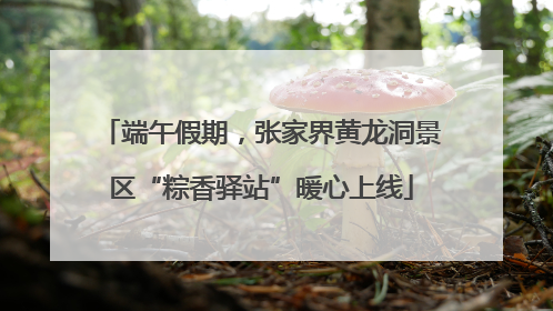 端午假期，张家界黄龙洞景区“粽香驿站”暖心上线