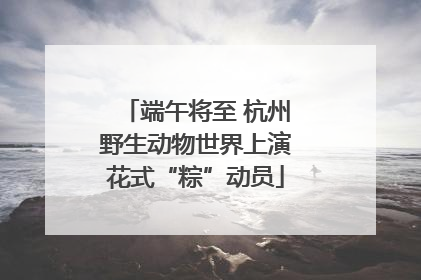端午将至 杭州野生动物世界上演花式“粽”动员