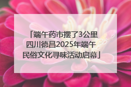 端午药市摆了3公里 四川德昌2025年端午民俗文化寻味活动启幕
