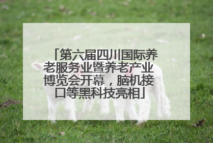 第六届四川国际养老服务业暨养老产业博览会开幕，脑机接口等黑科技亮相