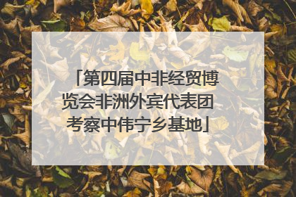 第四届中非经贸博览会非洲外宾代表团考察中伟宁乡基地