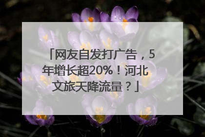 网友自发打广告，5年增长超20%！河北文旅天降流量？