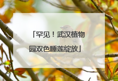 罕见！武汉植物园双色睡莲绽放
