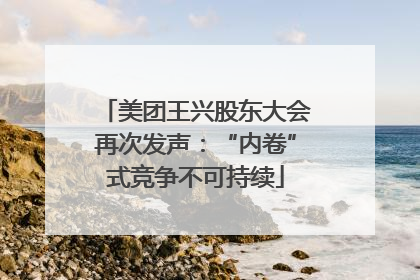 美团王兴股东大会再次发声：“内卷”式竞争不可持续
