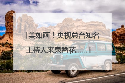 美如画！央视总台知名主持人来泉簪花……