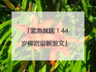 紧急就医！44岁柳岩最新发文