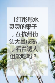 红彤彤水灵灵的果子，在杭州街头大量成熟，看着诱人但能吃吗？