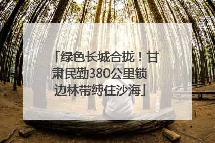 绿色长城合拢！甘肃民勤380公里锁边林带缚住沙海