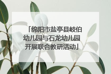 绵阳市盐亭县岐伯幼儿园与石龙幼儿园开展联合教研活动