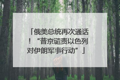 俄美总统再次通话！“普京谴责以色列对伊朗军事行动”