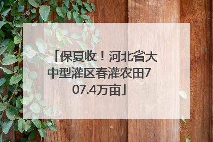 保夏收！河北省大中型灌区春灌农田707.4万亩