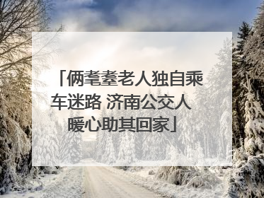 俩耄耋老人独自乘车迷路 济南公交人暖心助其回家