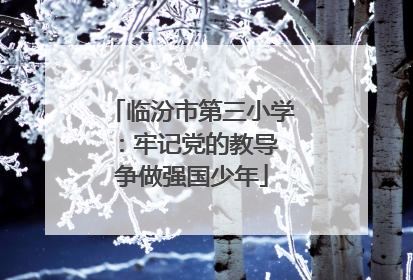 临汾市第三小学：牢记党的教导 争做强国少年
