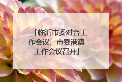 临沂市委对台工作会议、市委港澳工作会议召开