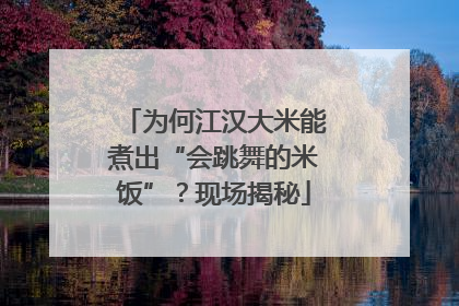 为何江汉大米能煮出“会跳舞的米饭”？现场揭秘