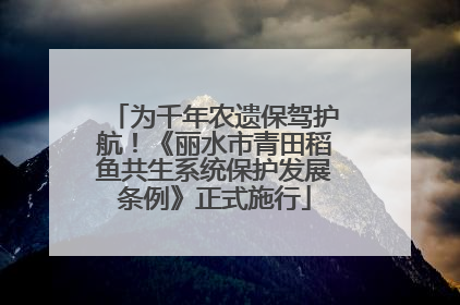 为千年农遗保驾护航！《丽水市青田稻鱼共生系统保护发展条例》正式施行