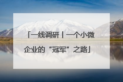 一线调研丨一个小微企业的“冠军”之路